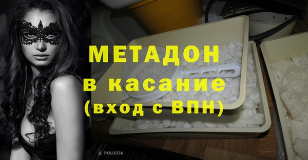 шишки Абаза