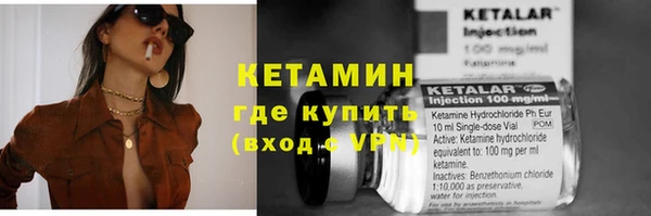 шишки Абаза