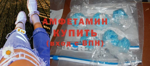 шишки Абаза