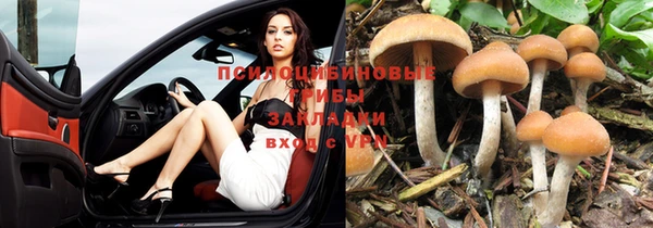 прущий лед Абдулино