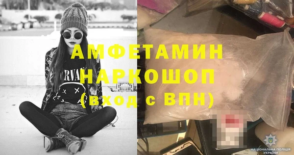 шишки Абаза